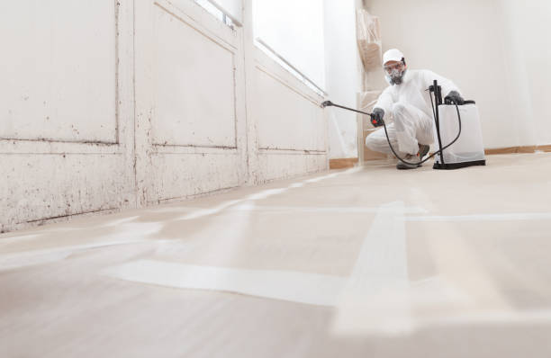 24/7 Emergency Attic Mold Removal experts in Lewisburg, PA